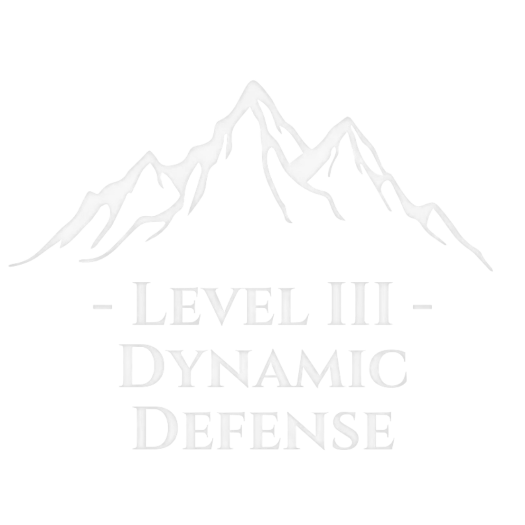 level 3 dynamic defense Level 3 Dynamic Defense