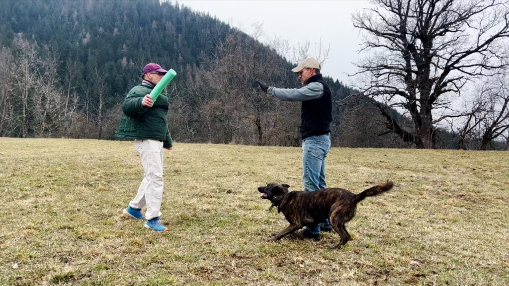 Hunter Protection Thumbnail