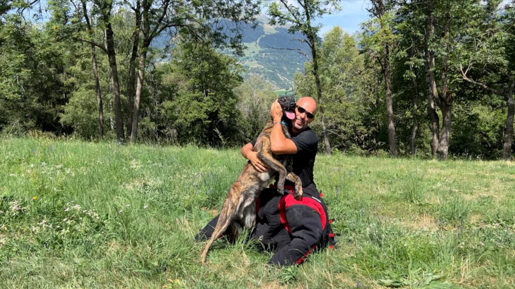 Post Protect Social thumb sky 4 Alpinhaus Shepherds Personal Protection Dogs for Sale