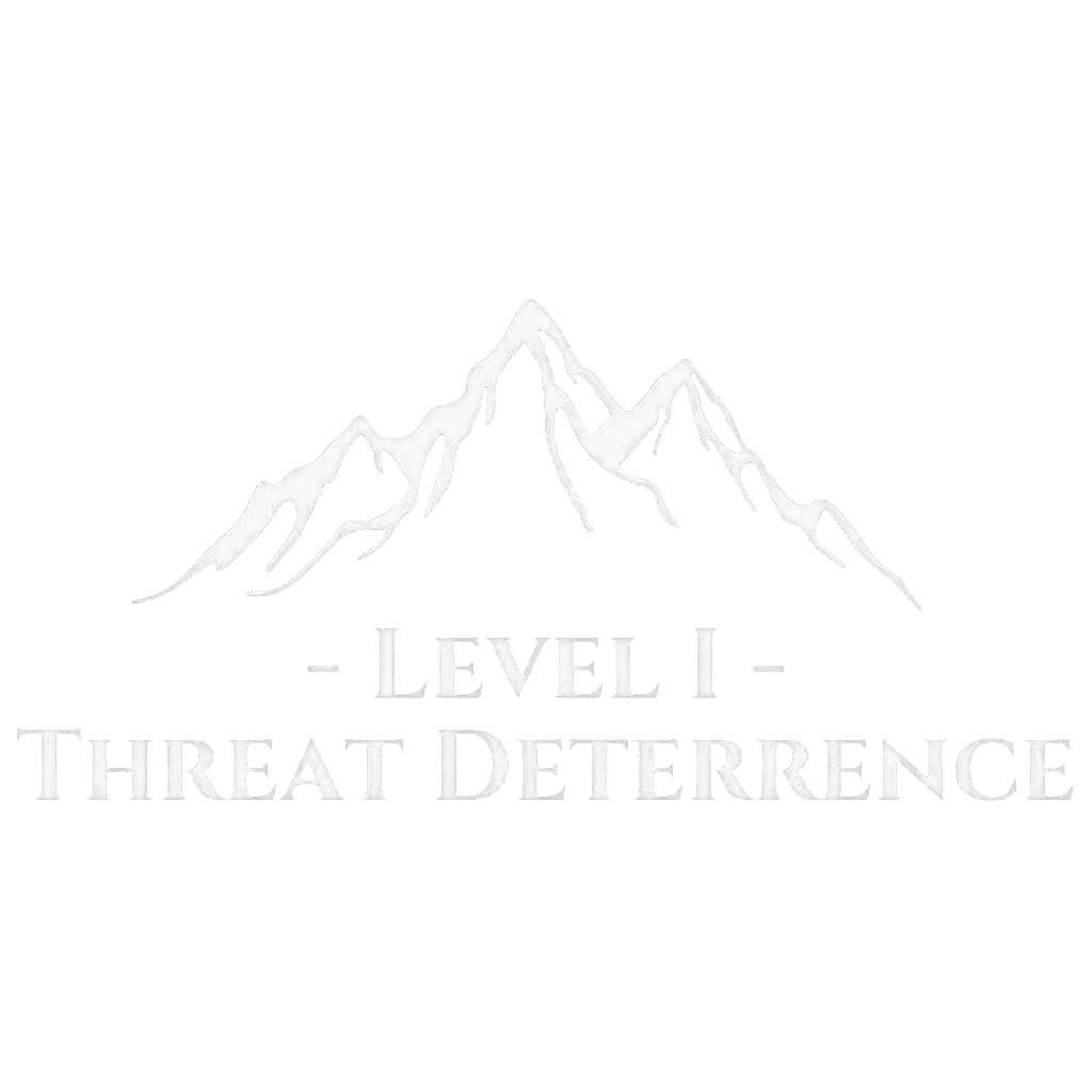 level 1