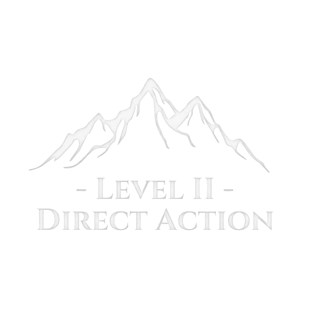 level 2