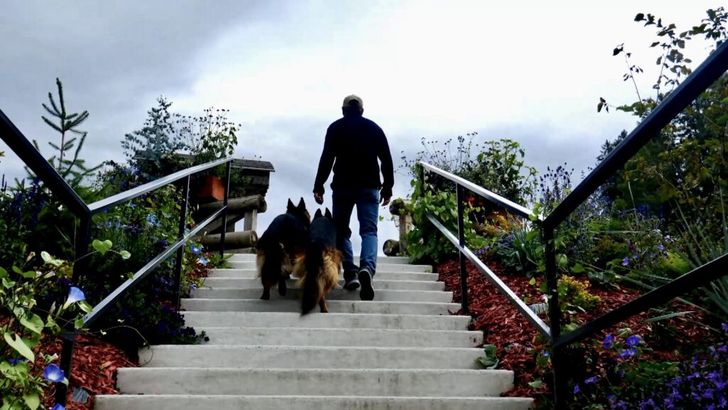 Connor and Yollie Double Heeling Elite Obedience in Megeve Connor and Yollie Double Heeling Elite Obedience in Megeve