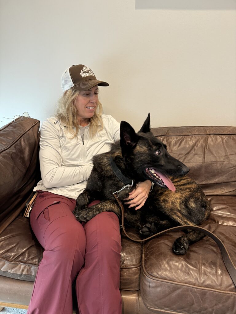 IMG_5810 Alpinhaus Shepherds personal protection dog,protection dog,alpinhaus,personal protection dogs