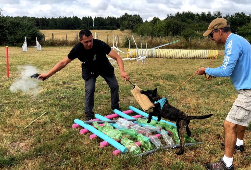 Medhi w Gun and Puppy Email 6 Warm