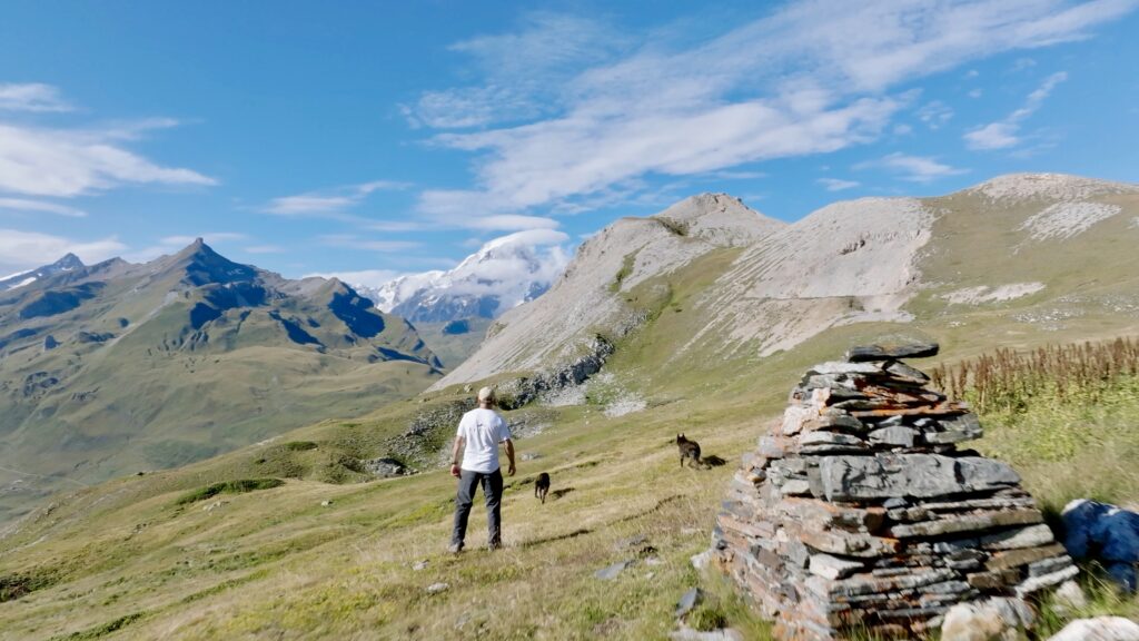 With the Dogs in Alps Alpinhaus Shepherds Protection Dogs for Sale