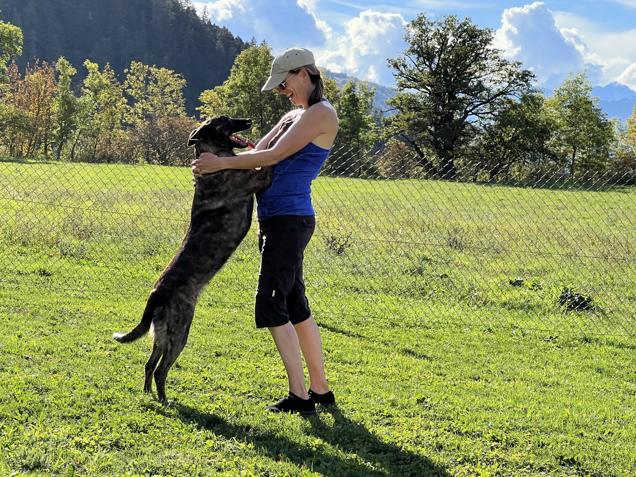 What Are the Best Protection Dogs for Families? 2 Opium du Blason a Croix d’Argent Personal and Family Protection Dog