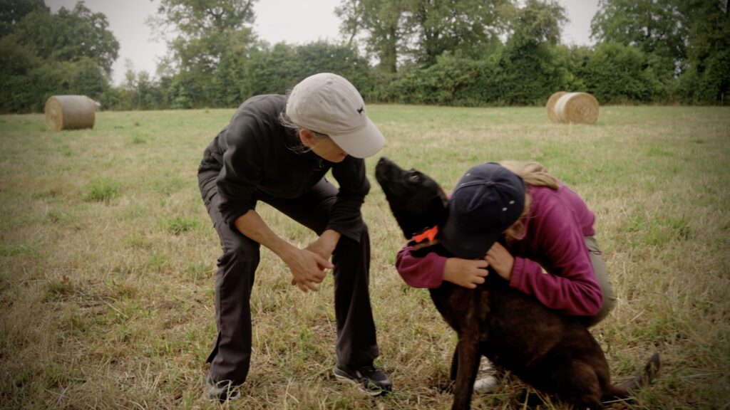 Guard Dogs vs. AlpinHaus Protection Dogs: Why “Good Enough Security” Fails Families 4 Alpinhaus Shepherds Guard Dog,Protection Dogs