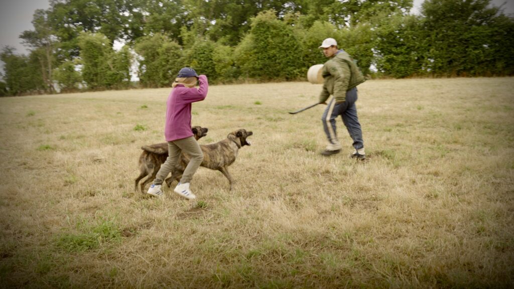X Line Shadow Boxer and Skywalker defending 9 year old girl against Attacker X Line Shadow Boxer and Skywalker defending 9 year old girl against Attacker