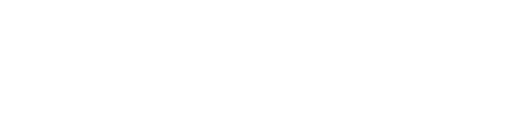 new x line-08 Alpinhaus Shepherds protection dog training