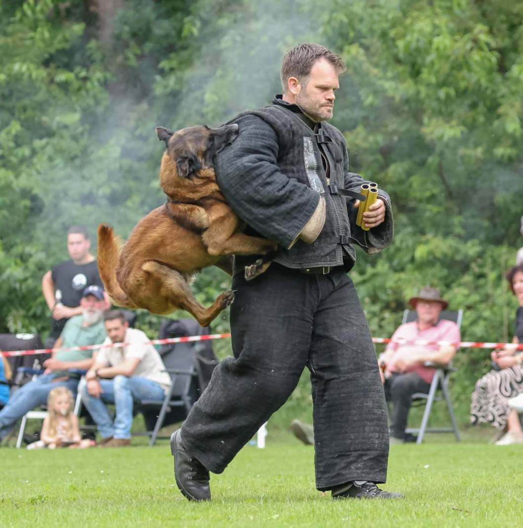 KNPV Training with Belgian Malinois Flying Attack KNPV Training with Belgian Malinois Flying Attack
